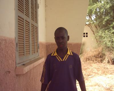 gallo sall